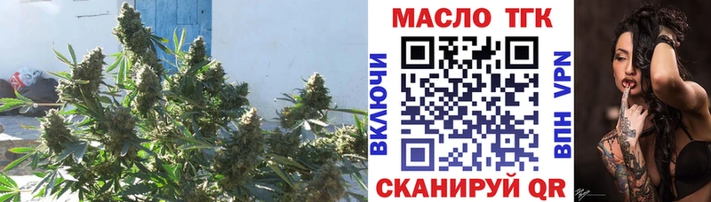 ТГК THC oil  площадка телеграм  Кемь 